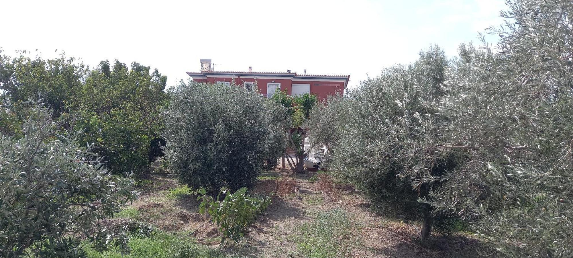 Ktima Develekou Apartamento Pigadhia  Exterior foto